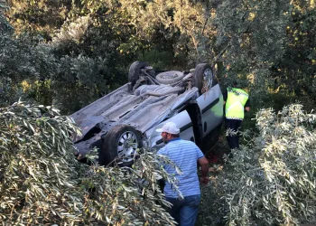 Bursa’da kontrolden çıkan araç zeytinliğe daldı