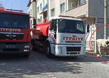 Bursa’da kül olan samanlıktan son anda kurtarıldı