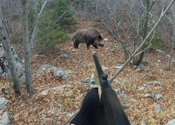 Bursa’da domuz avında vurulan kişi öldü