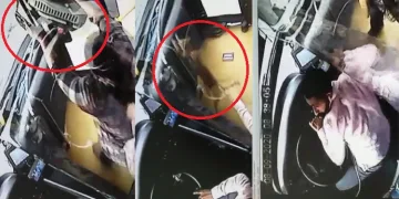 Kafesten kaçan kedi otobüsü birbirine kattı