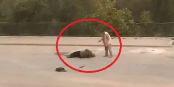 Bursa’da eşine kurşun yağdıran koca tutuklandı