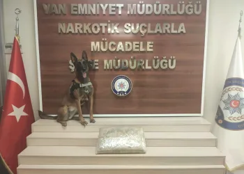 Van’da kargo şirketine uyuşturucu operasyonu