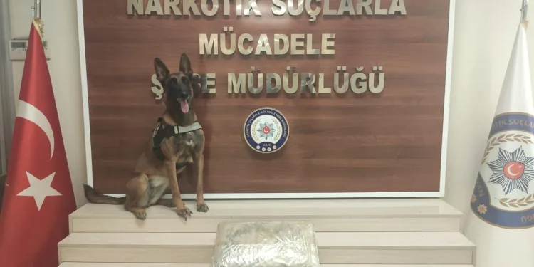 Van’da kargo şirketine uyuşturucu operasyonu