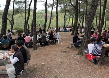 Karantinada olması gereken 78 kişi piknikte yakalandı