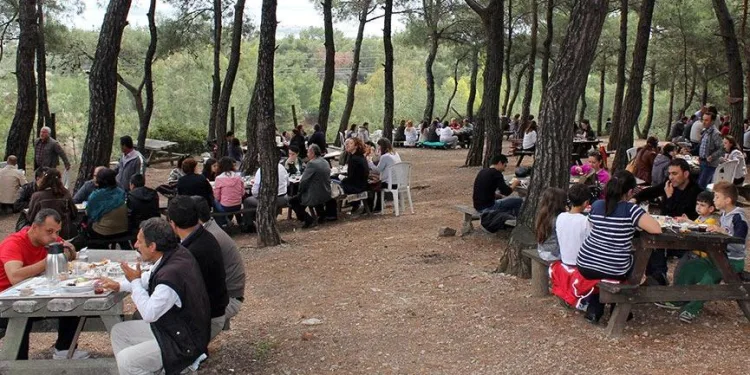 Karantinada olması gereken 78 kişi piknikte yakalandı