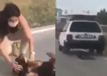Otomobiline bağladığı köpeği metrelerce sürükledi