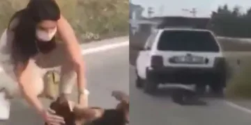 Otomobiline bağladığı köpeği metrelerce sürükledi