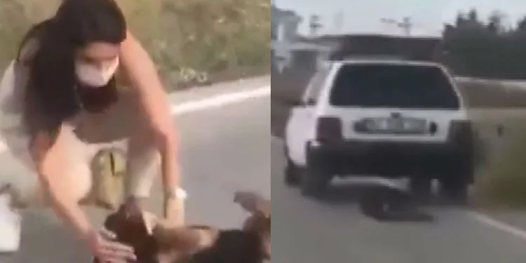 Otomobiline bağladığı köpeği metrelerce sürükledi
