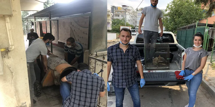 Bursa’da halı yıkama makinesine sıkışan tilki kurtarıldı