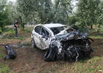 Bursa’da zeytin ağacına çarpan şoför hayatını kaybetti