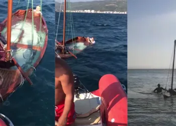 Bursa Gemlik’te denizin ortasında korku dolu anlar