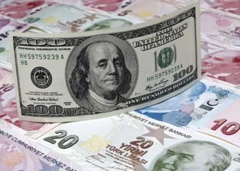 Türk Lirası eriyor, doların ateşi düşmüyor…