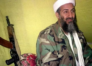 Bin Ladin örgüt üyeleriyle erotik videolar üzerinde iletişim kurmuş