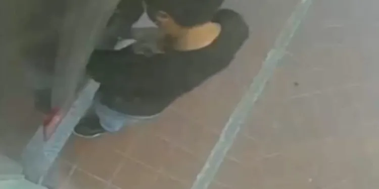 Bursa onu konuşuyordu! Yeni görüntüleri çıktı