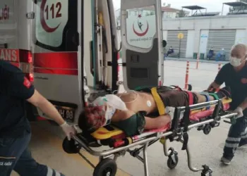5 saatti haber alınamayan çoban kanlar içinde bulundu