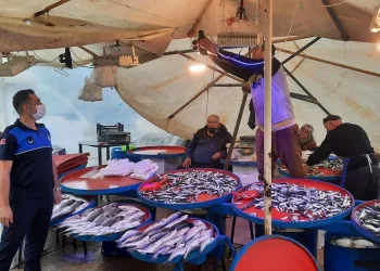 Bursa’da balıkçılarda mavi ışık hilesi