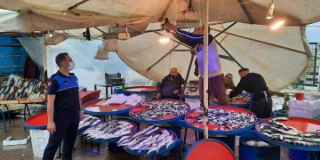 Bursa’da balıkçılarda mavi ışık hilesi