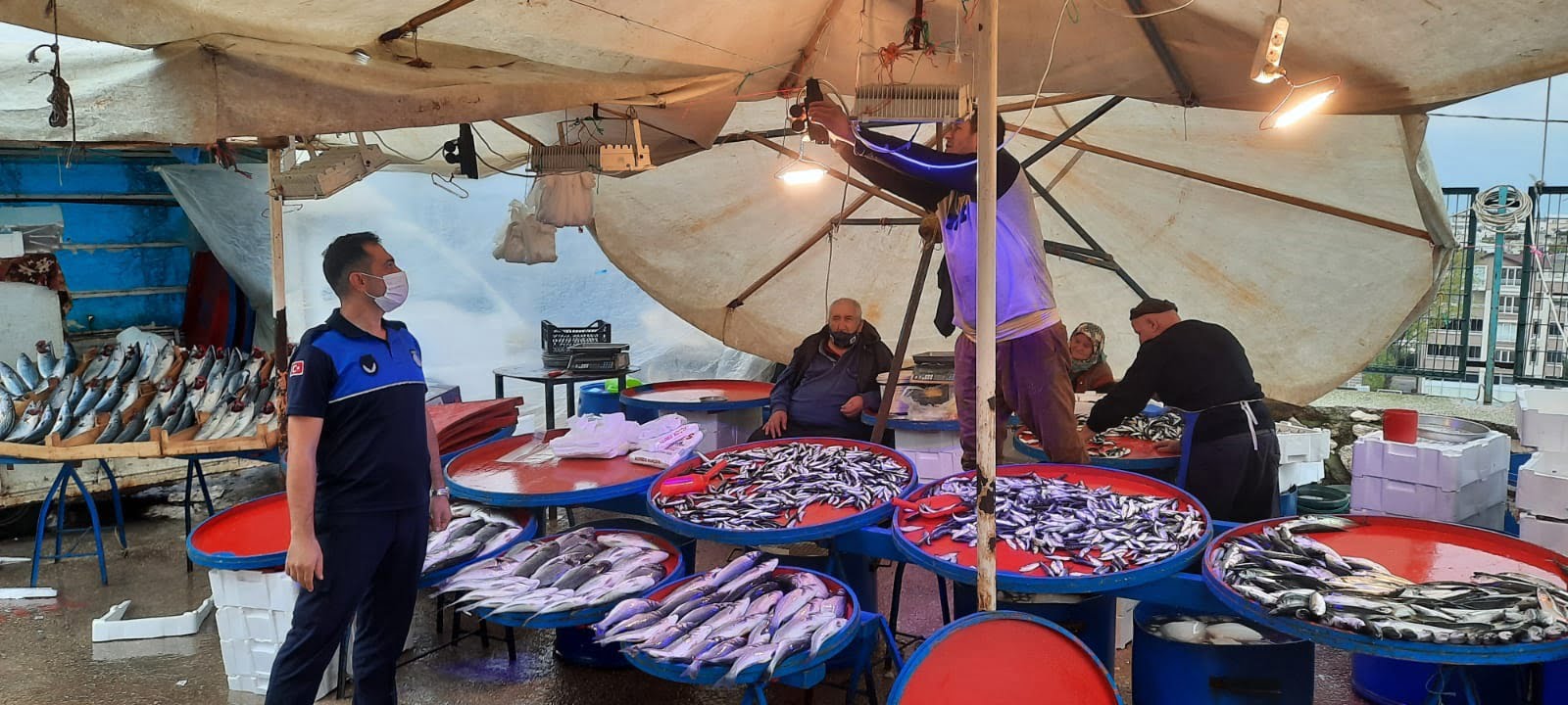 Bursa'da balıkçılarda mavi ışık hilesi