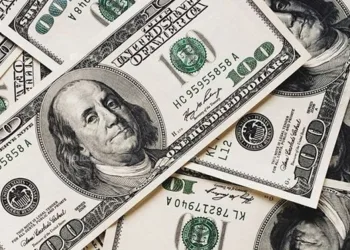 Merkez Bankası’nın faiz kararı sonrası dolarda rekor