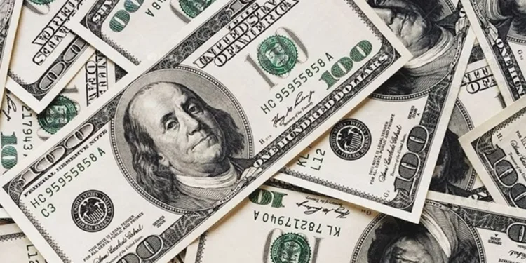 Merkez Bankası’nın faiz kararı sonrası dolarda rekor