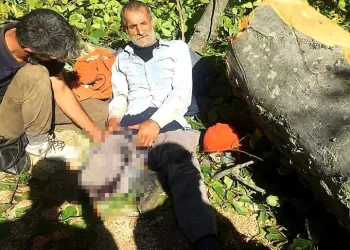 Tomruğun altında kaldı bacağı kesildi