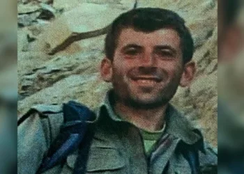 Interpol’ün aradığı PKK’lı etkisiz hale getirildi