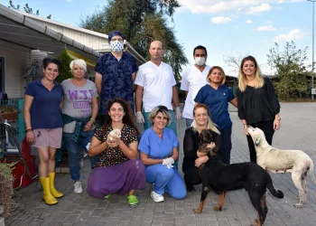 Bursa’da sokak hayvanları bu klinikte ücretsiz iyileştiriliyor