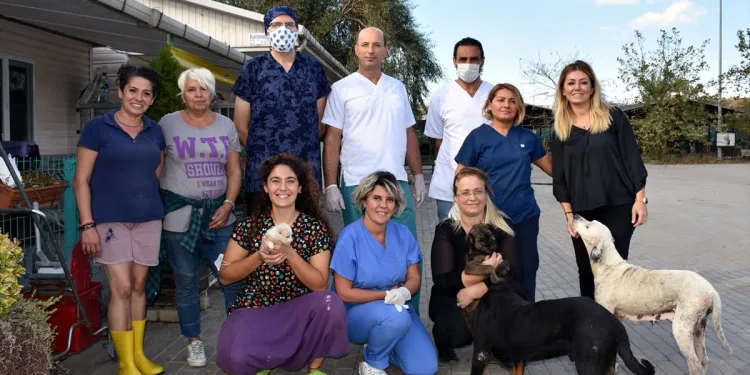 Bursa’da sokak hayvanları bu klinikte ücretsiz iyileştiriliyor