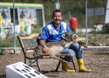 HAYTAP Bursa’da “Emekli Hayvanlar Çiftliği” kurdu