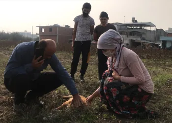 Bursa’da komşusunun köpeğini av tüfeğiyle vurdu