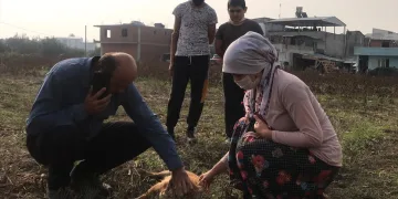 Bursa’da komşusunun köpeğini av tüfeğiyle vurdu