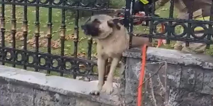 Ekipler onun için seferber oldu