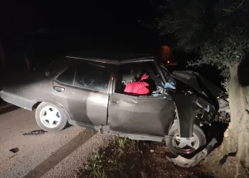 Bursa’da otomobiliyle zeytin ağacına daldı