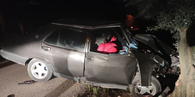 Bursa’da otomobiliyle zeytin ağacına daldı