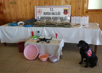 Bursa’da böcek ilacından uyuşturucu yaptılar