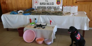 Bursa’da böcek ilacından uyuşturucu yaptılar