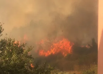 Hatay ve Mersin’de yerleşim yerleri tehdit altında