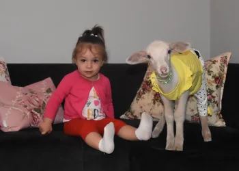 Bursalı Beril, ‘Topitop’ ile aynı evde yaşıyor