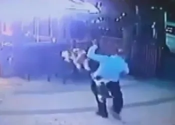 Böyle kedi saldırısı görülmedi!