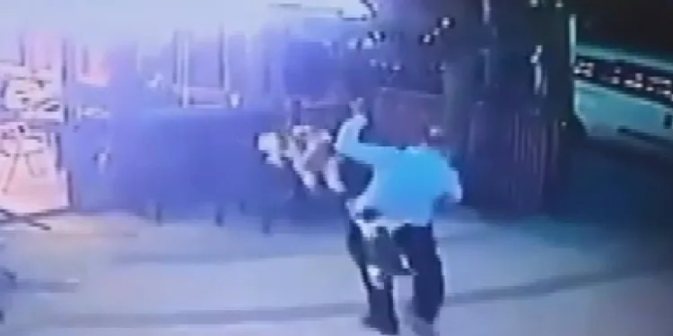 Böyle kedi saldırısı görülmedi!