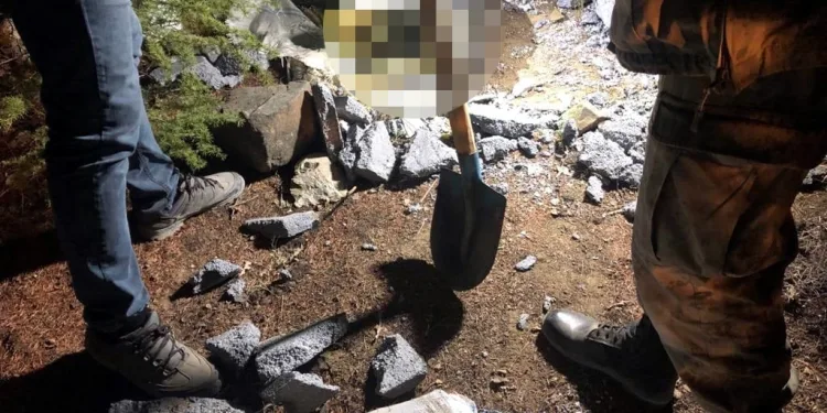 İhanete uğradığını düşündü, cesedi ormanda sakladı