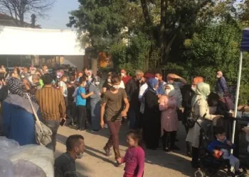 Bedava hamsi kuyruğuna akın ettiler