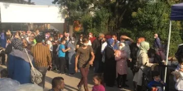 Bedava hamsi kuyruğuna akın ettiler