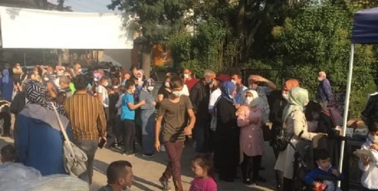 Bedava hamsi kuyruğuna akın ettiler