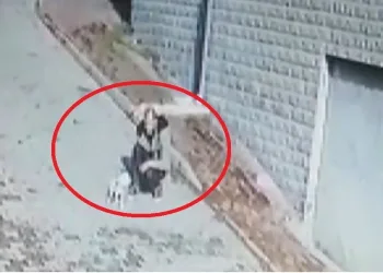 Bursa’da köpeği önce sevdi sonra kaçırdı