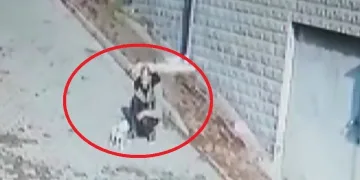 Bursa’da köpeği önce sevdi sonra kaçırdı