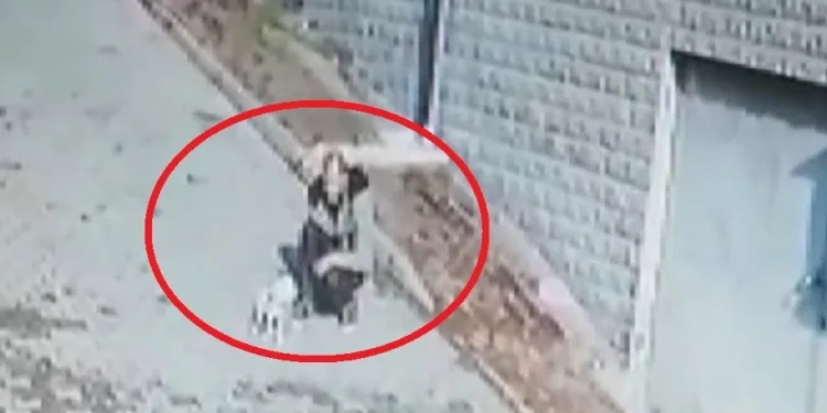 Bursa’da köpeği önce sevdi sonra kaçırdı