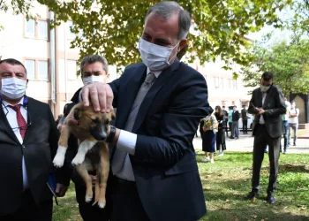İnegöl Belediyesi okullara köpek sahiplendiriyor