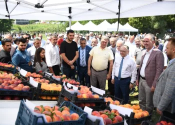 Bursa İnegöl’ün tarımı şahlanıyor