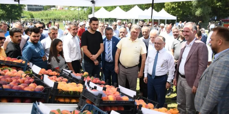 Bursa İnegöl’ün tarımı şahlanıyor